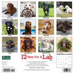 12 Uses for a Lab 2024 12" x 12" Wall Calendar