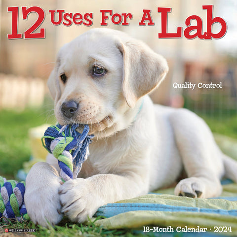 12 Uses for a Lab 2024 12" x 12" Wall Calendar