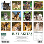 Just Akitas 2024 12" x 12" Wall Calendar