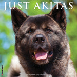 Just Akitas 2024 12" x 12" Wall Calendar