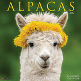 Alpacas 2024 12" x 12" Wall Calendar