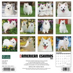 Just American Eskimos 2024 12" x 12" Wall Calendar
