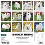 Just American Eskimos 2024 12" x 12" Wall Calendar