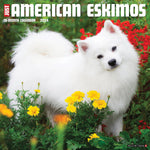 Just American Eskimos 2024 12" x 12" Wall Calendar