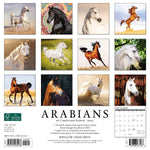 Arabians 2024 12" x 12" Wall Calendar