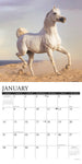 Arabians 2024 12" x 12" Wall Calendar