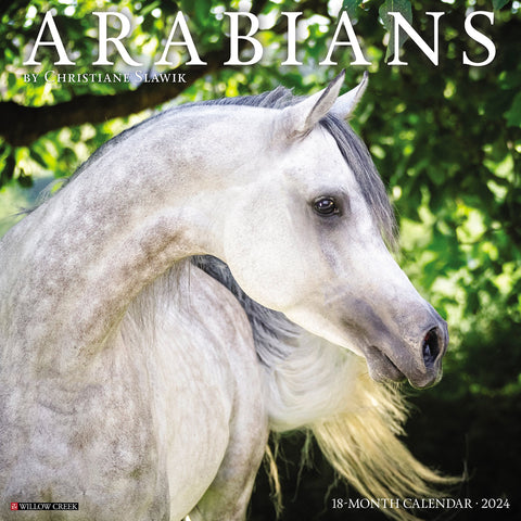 Arabians 2024 12" x 12" Wall Calendar