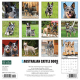 Just Australian Cattle Dogs 2024 12" x 12" Wall Calendar