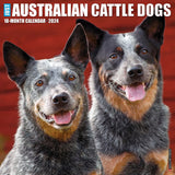 Just Australian Cattle Dogs 2024 12" x 12" Wall Calendar