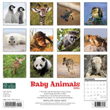 Baby Animals 2024 12" x 12" Wall Calendar