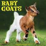 Baby Goats 2024 12" x 12" Wall Calendar