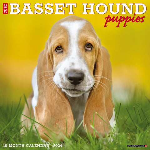 Just Basset Hound Puppies 2024 12" x 12" Wall Calendar