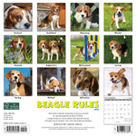 Beagle Rules 2024 12" x 12" Wall Calendar