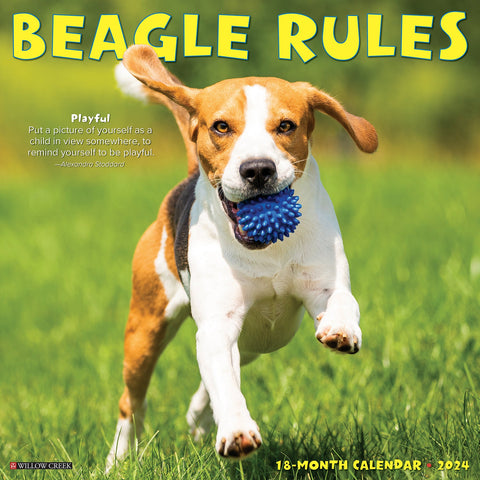 Beagle Rules 2024 12" x 12" Wall Calendar