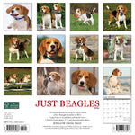 Just Beagles 2024 12" x 12" Wall Calendar