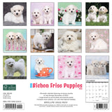 Just Bichon Frise Puppies 2024 12" x 12" Wall Calendar