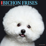 Just Bichons Frises 2024 12" x 12" Wall Calendar