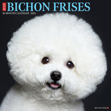 Just Bichons Frises 2024 12" x 12" Wall Calendar