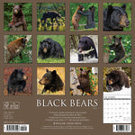 Black Bears 2024 12" x 12" Wall Calendar