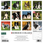 Just Border Collies 2024 12" x 12" Wall Calendar