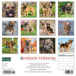 Just Border Terriers 2024 12" x 12" Wall Calendar