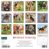 Just Border Terriers 2024 12" x 12" Wall Calendar
