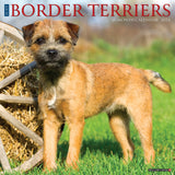 Just Border Terriers 2024 12" x 12" Wall Calendar