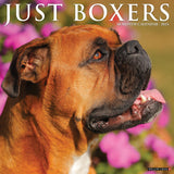 Just Boxers 2024 12" x 12" Wall Calendar