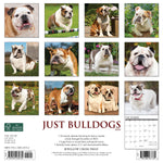Just Bulldogs 2024 12" x 12" Wall Calendar