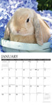 Just Bunnies 2024 12" x 12" Wall Calendar