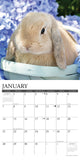 Just Bunnies 2024 12" x 12" Wall Calendar