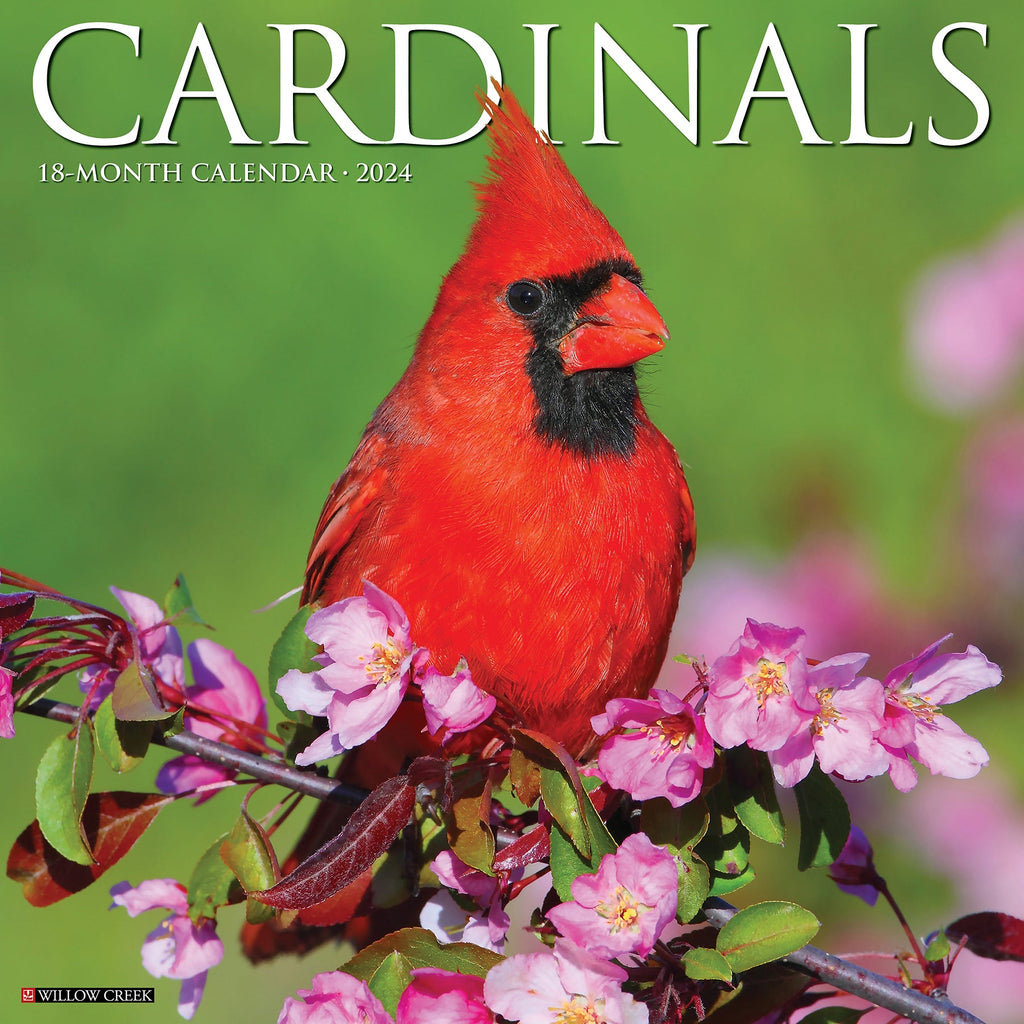 Cardinals 2024 Wall Calendar Willow Creek Press