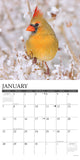 Cardinals 2024 12" x 12" Wall Calendar