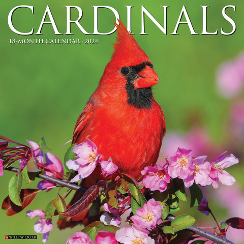 Cardinals 2024 12" x 12" Wall Calendar