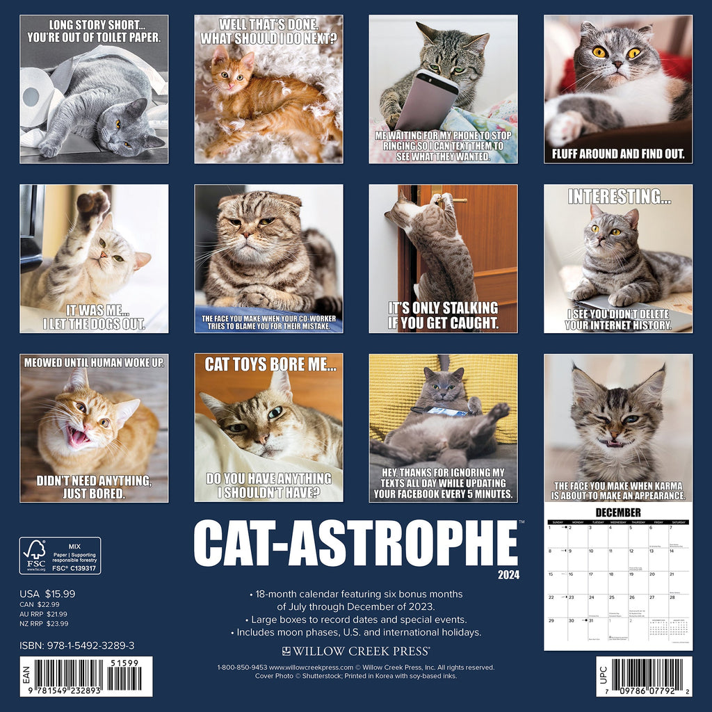 Cat-Astrophe 2024 Wall Calendar – Willow Creek Press