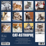 Cat-Astrophe 2024 12" x 12" Wall Calendar