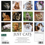 Just Cats 2024 12" x 12" Wall Calendar