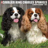 Just Cavalier King Charles Spaniels 2024 12" x 12" Wall Calendar