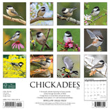 Chickadees 2024 12" x 12" Wall Calendar