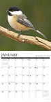 Chickadees 2024 12" x 12" Wall Calendar
