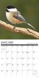Chickadees 2024 12" x 12" Wall Calendar