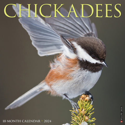 Chickadees 2024 12" x 12" Wall Calendar