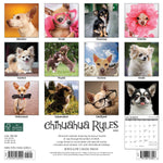 Chihuahua Rules 2024 12" x 12" Wall Calendar