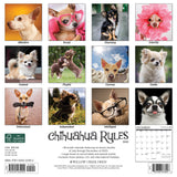Chihuahua Rules 2024 12" x 12" Wall Calendar