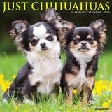 Just Chihuahuas 2024 12" x 12" Wall Calendar