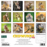 Chipmunks (Gone Nuts!) 2024 12" x 12" Wall Calendar