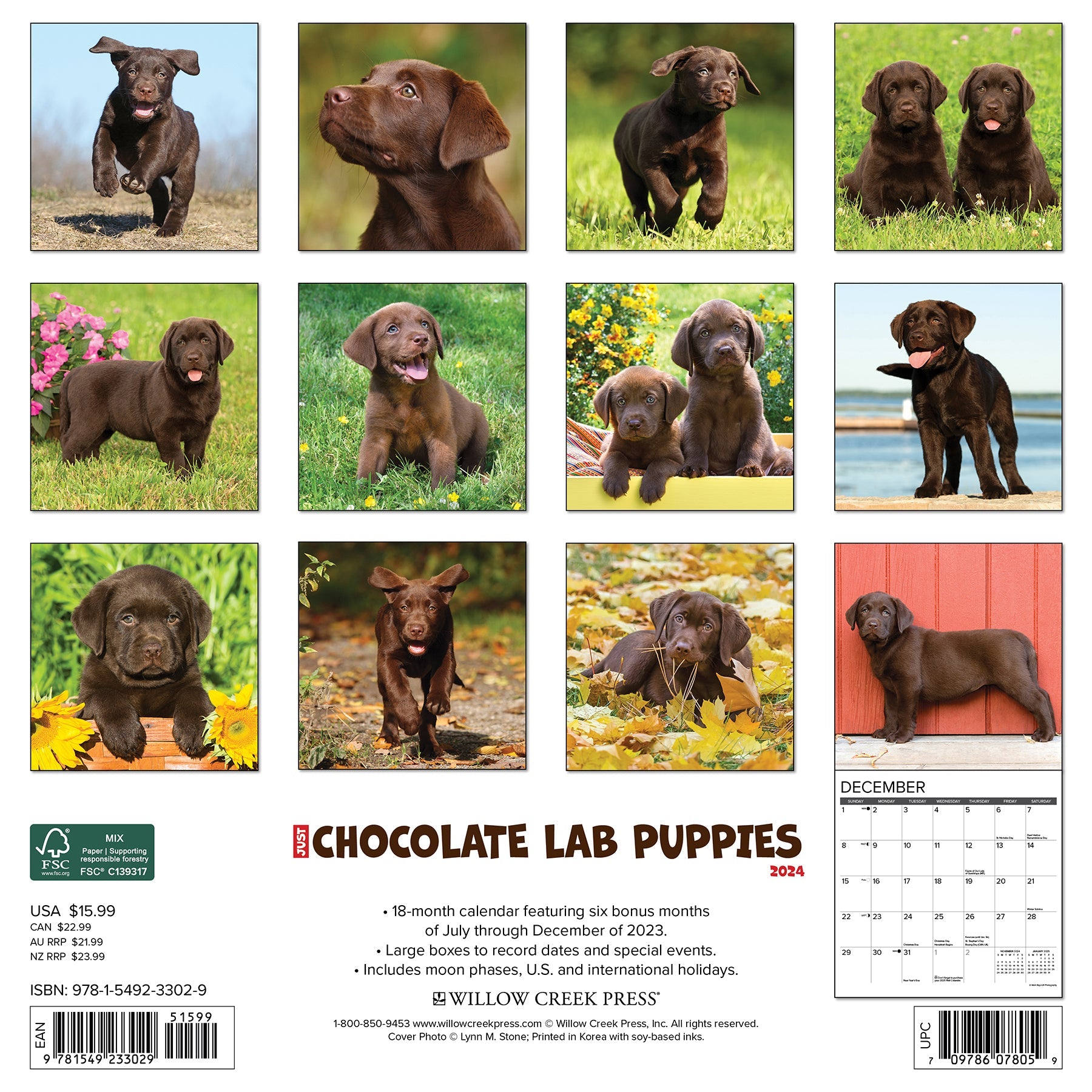 2025 Wall Calendars At Amazon Sale Canada