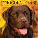 Just Chocolate Labs 2024 12" x 12" Wall Calendar