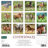 Clydesdales 2024 12" x 12" Wall Calendar