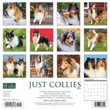 Just Collies 2024 12" x 12" Wall Calendar